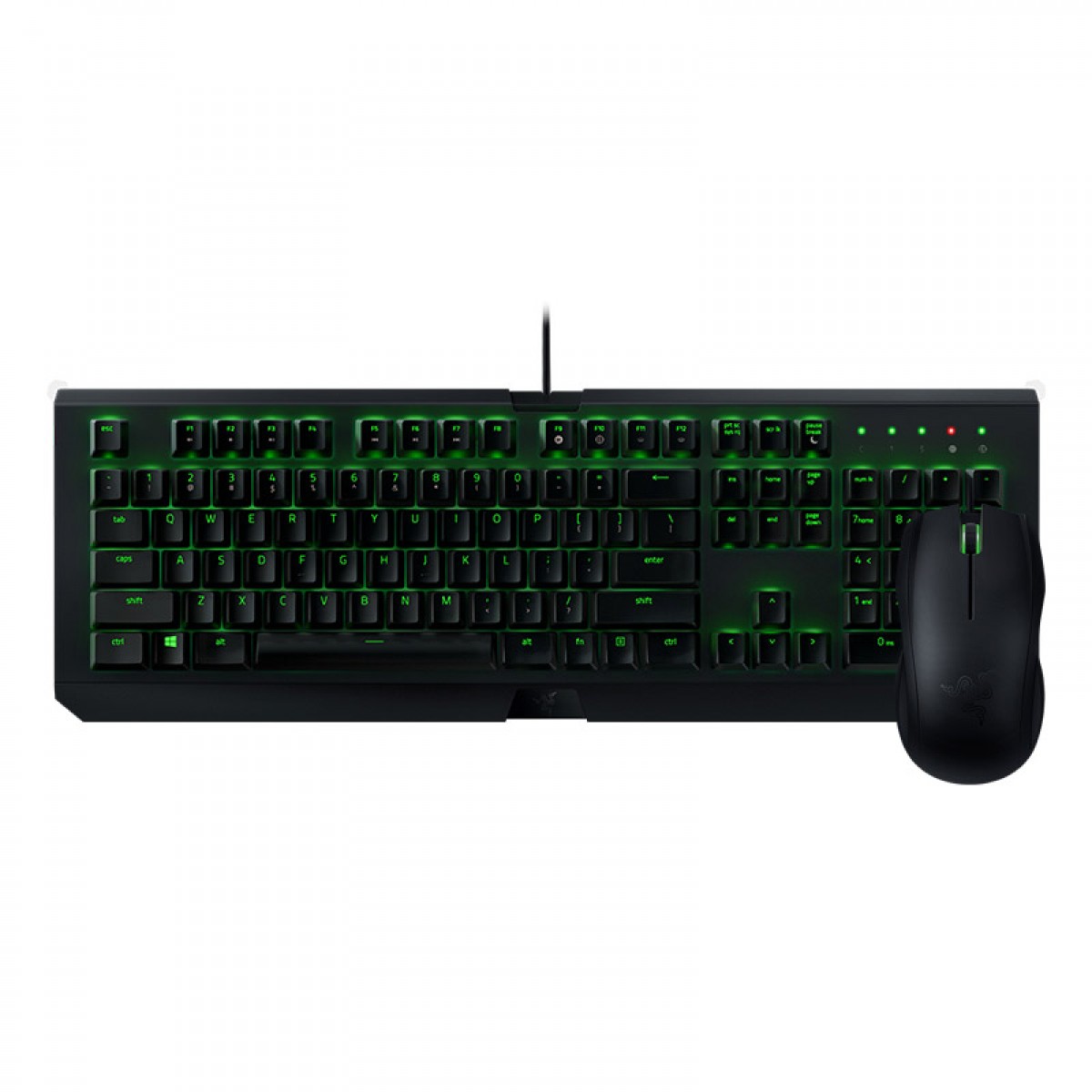 Razer, thunder snake, King climbing snake, black widow spider, X mechanical keyboard, mouse, video game set