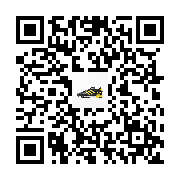 commodity two-dimensional code